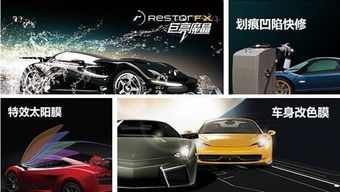 强强pk 车衣裳成功入围 汽车用品十大知名品牌 20强